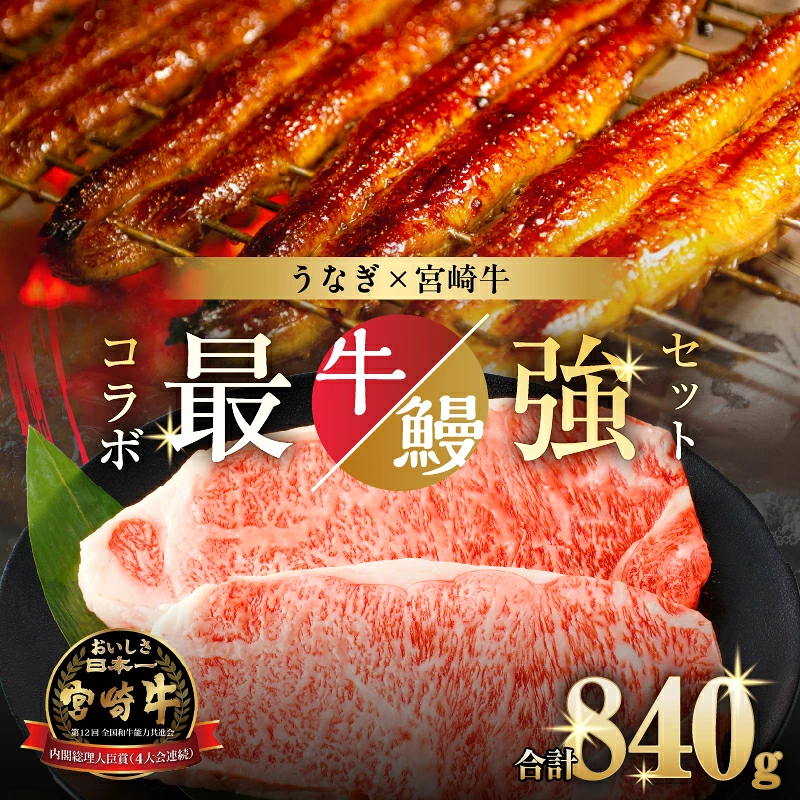 うなぎ×宮崎牛 都農町最強セットA 肉 牛 牛肉 焼肉 国産_T030-1298