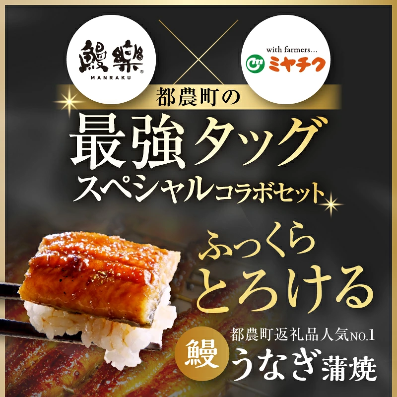 うなぎ×宮崎牛 都農町最強セットA 肉 牛 牛肉 焼肉 国産_T030-1298