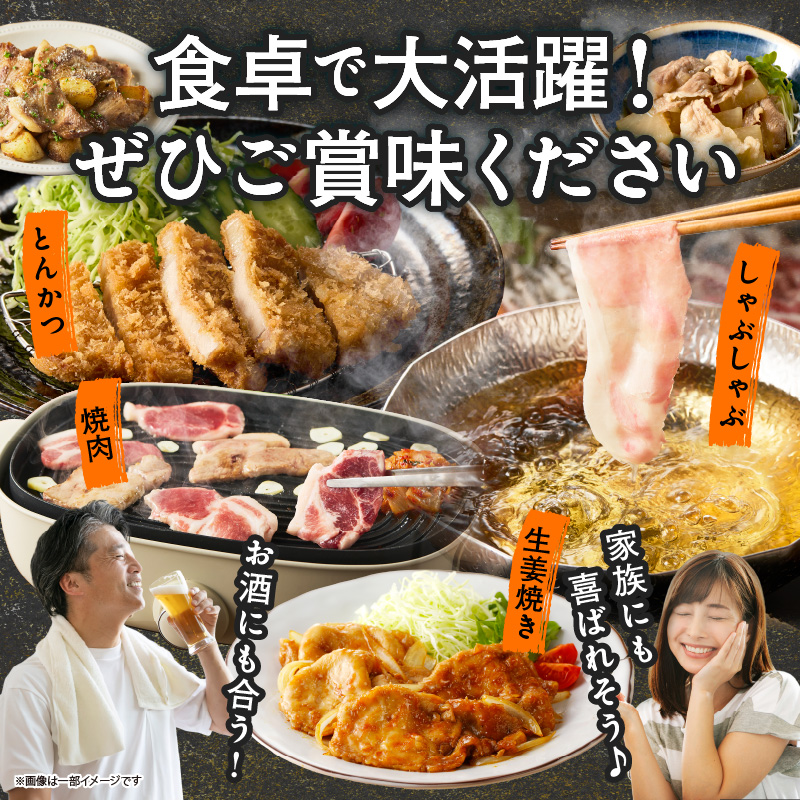 【選べる内容量】宮崎県産豚肉6種盛り合わせセット(合計1.9kg 4.1kg) 肉 豚 豚肉 おかず 国産_T030-2048-SKU