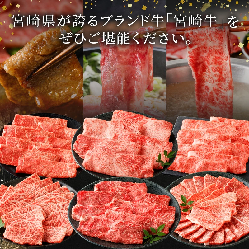 ≪選べる発送回数≫お楽しみ定期便『宮崎牛よくばりセット』 肉 牛肉 国産_T030-1368-SKU