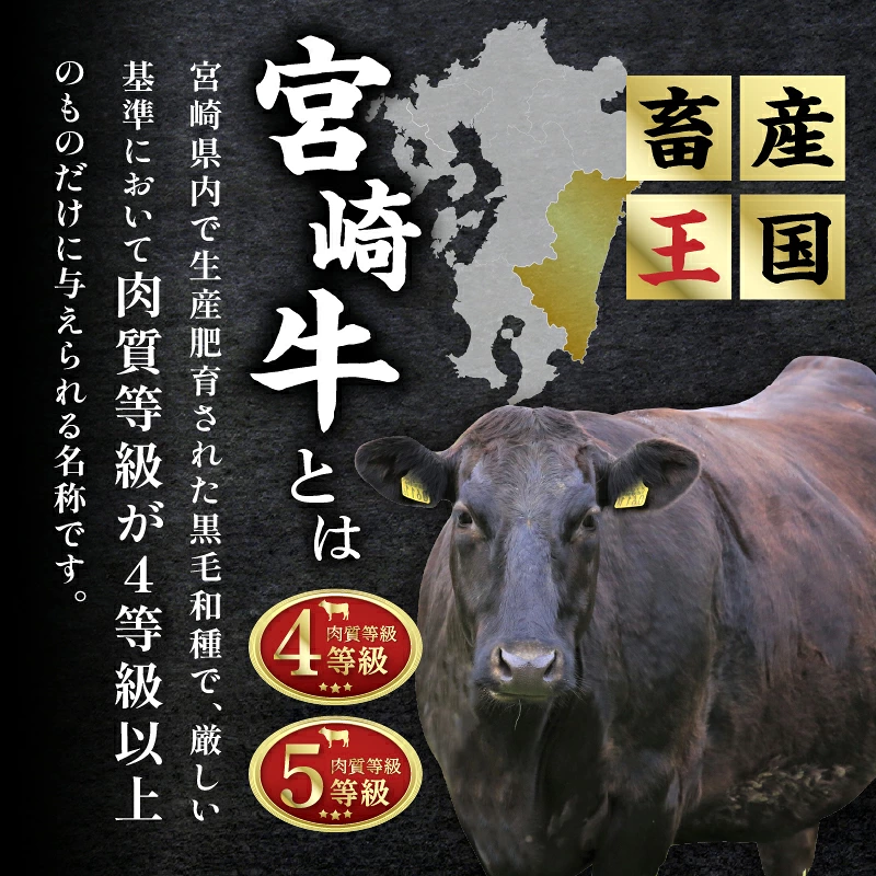 6か月お楽しみ定期便『宮崎牛スペシャル6種セット』総重量4.6kg 肉 牛 牛肉 焼肉 国産_T009-0027