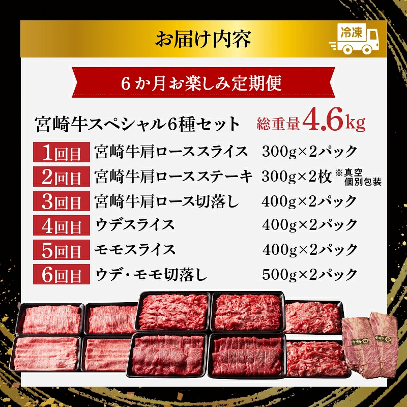 6か月お楽しみ定期便『宮崎牛スペシャル6種セット』総重量4.6kg 肉 牛 牛肉 焼肉 国産_T009-0027