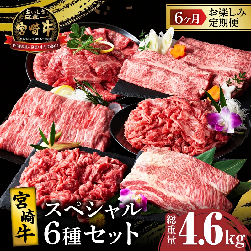 6か月お楽しみ定期便『宮崎牛スペシャル6種セット』総重量4.6kg 肉 牛 牛肉 焼肉 国産_T009-0027