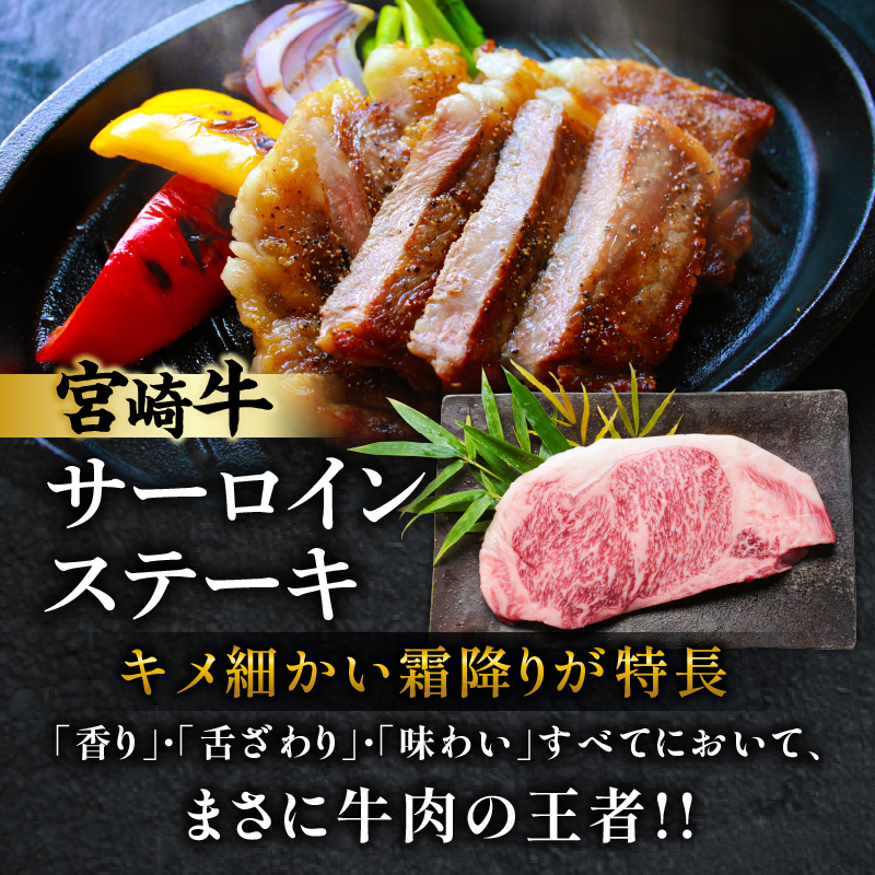 宮崎牛サーロインステーキ&肩(ウデ)すき焼き用セット合計500g 肉 牛 牛肉 焼肉 国産_T009-0037