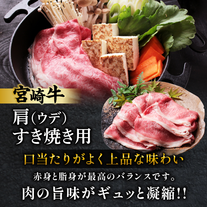 宮崎牛サーロインステーキ&肩(ウデ)すき焼き用セット合計500g 肉 牛 牛肉 焼肉 国産_T009-0037