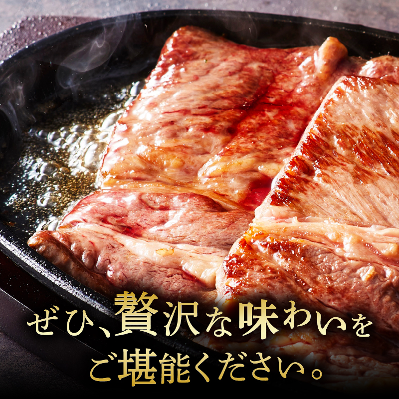 宮崎牛肩ロースステーキ(ハーフカット)計300g 肉 牛 牛肉 焼肉 国産_T009-0057