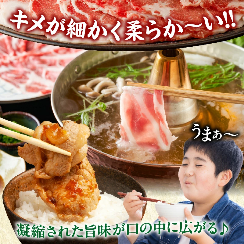 宮崎県産豚ローススライス計1.8kg 肉 豚 豚肉 おかず 国産_T009-0067