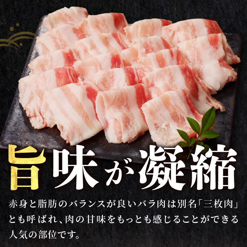 宮崎県産豚バラしゃぶしゃぶ用(計1kg) 肉 豚 豚肉 おかず 国産_T009-0137