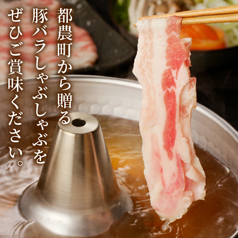 宮崎県産豚バラしゃぶしゃぶ用(計1kg) 肉 豚 豚肉 おかず 国産_T009-0137