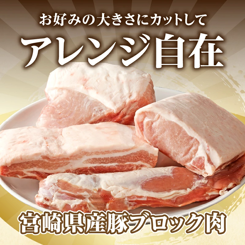 宮崎県産豚ブロック肉4種セット(合計3.5kg) 肉 豚 豚肉 国産_T009-0287