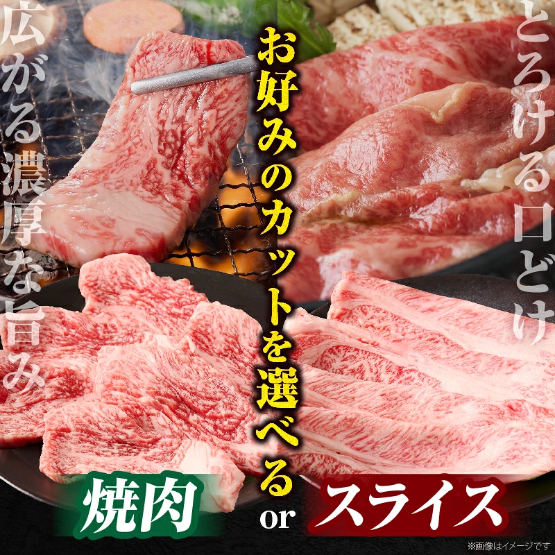 【選べるカット！！】宮崎牛 『焼肉 or スライス』 3種 食べ比べ セット 合計300g or 600g 肉 牛肉 国産_T009-0357-SKU