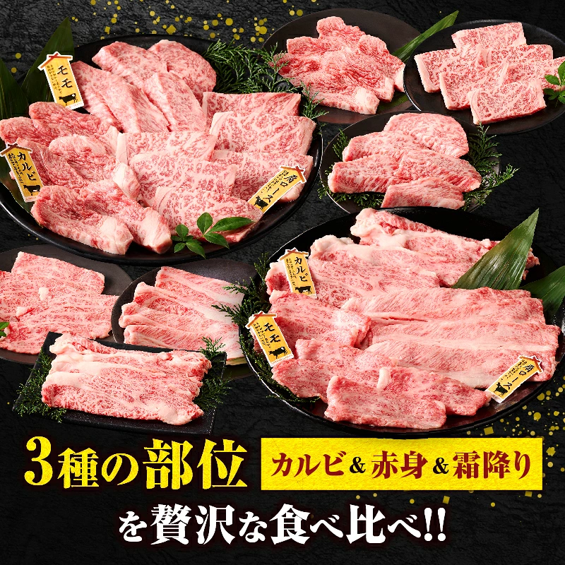 【選べるカット！！】宮崎牛 『焼肉 or スライス』 3種 食べ比べ セット 合計300g or 600g 肉 牛肉 国産_T009-0357-SKU