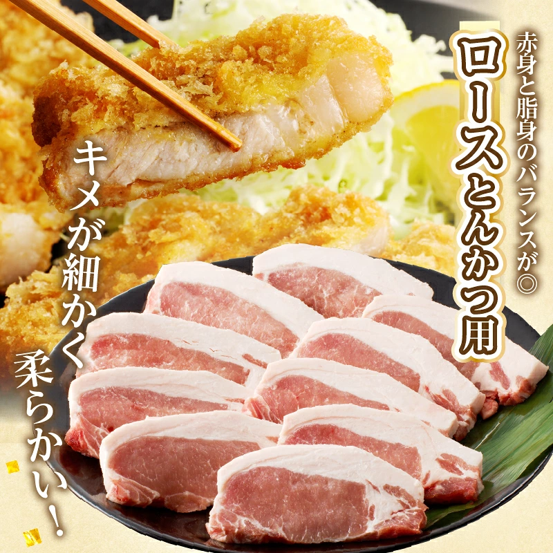 宮崎県産豚ロース・ヒレ『とんかつ用』合計2kg 肉 豚 豚肉 国産_T041-0107