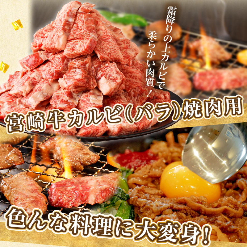 【内容量が選べる】全部小分け真空パック!!「宮崎牛カルビ(バラ)焼肉用」(計500g 1kg 1.5kg 2kg) 肉 牛 牛肉 おかず 国産_T041-0067-SKU