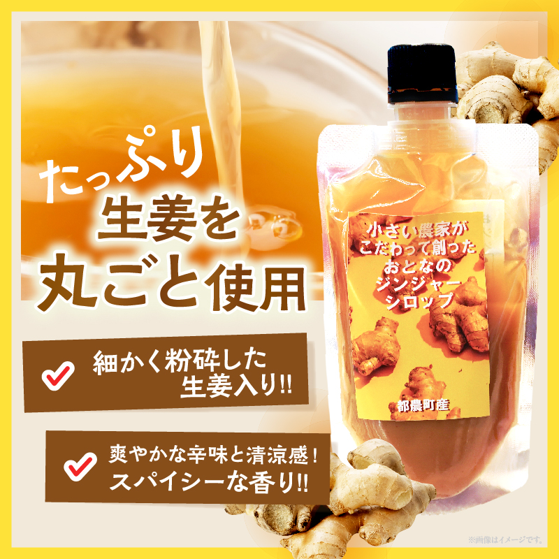 \ポスト投函/都農町産ジンジャーシロップ(計1本) 生姜 加工品 国産_T024-0137