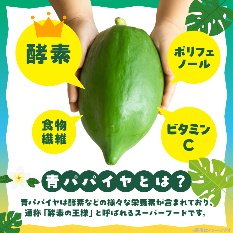 都農町産「青パパイヤ」約2kg フルーツ 果物 野菜 パパイヤ 国産_T036-004