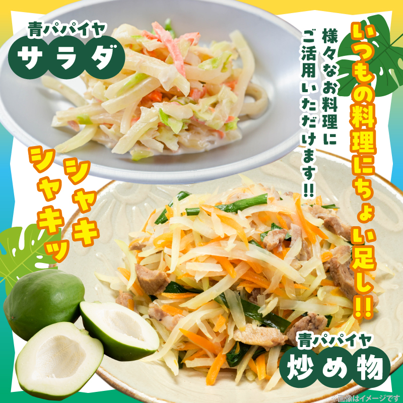都農町産「青パパイヤ」約2kg フルーツ 果物 野菜 パパイヤ 国産_T036-004