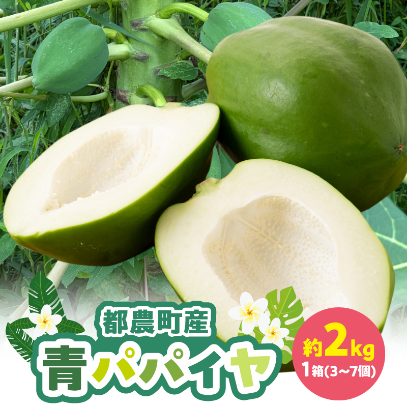 都農町産「青パパイヤ」約2kg フルーツ 果物 野菜 パパイヤ 国産_T036-004