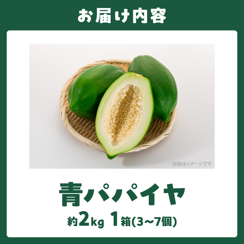 都農町産「青パパイヤ」約2kg フルーツ 果物 野菜 パパイヤ 国産_T036-004