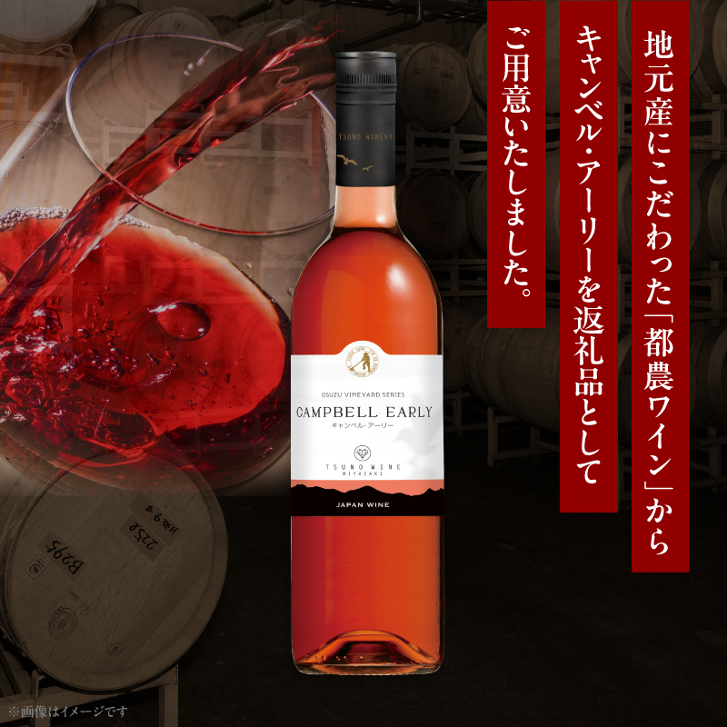 キャンベル・アーリー 計1本 酒 飲料 アルコール 国産_T014-065