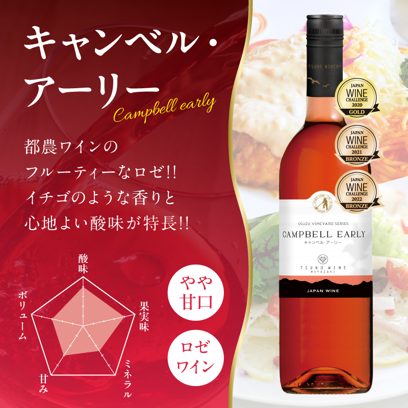 キャンベル・アーリー 計1本 酒 飲料 アルコール 国産_T014-065
