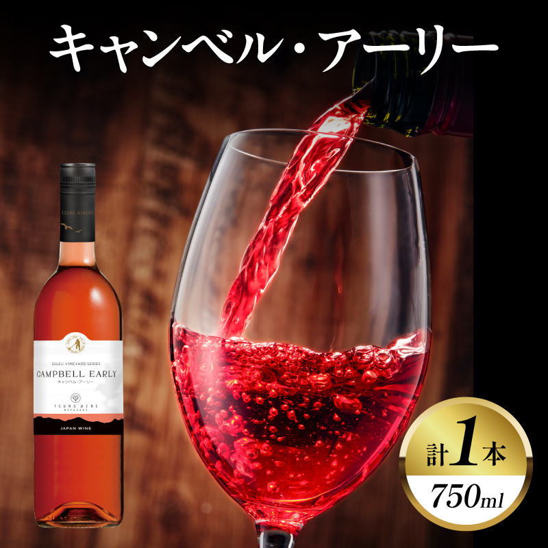 キャンベル・アーリー 計1本 酒 飲料 アルコール 国産_T014-065