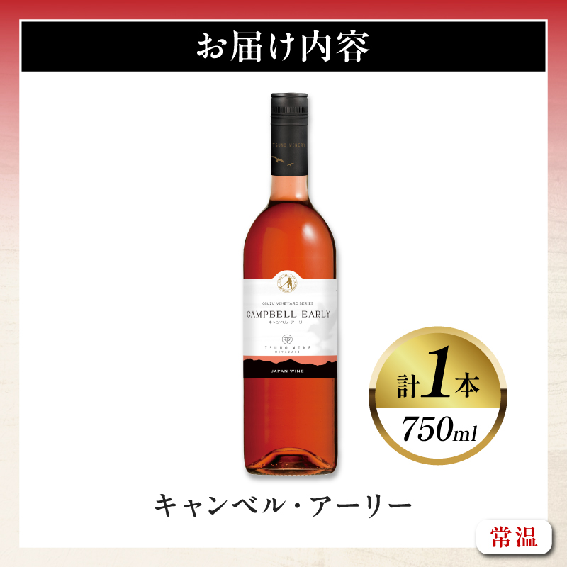 キャンベル・アーリー 計1本 酒 飲料 アルコール 国産_T014-065