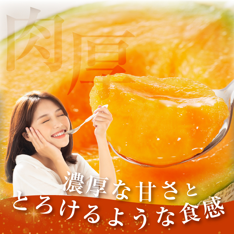 先行予約 冬用 都農町産「赤肉メロン」計2玉 フルーツ 果物 デザート 国産_T015-0067-F