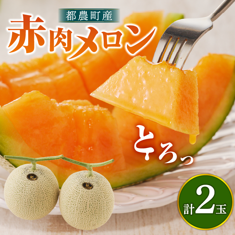 先行予約 冬用 都農町産「赤肉メロン」計2玉 フルーツ 果物 デザート 国産_T015-0067-F