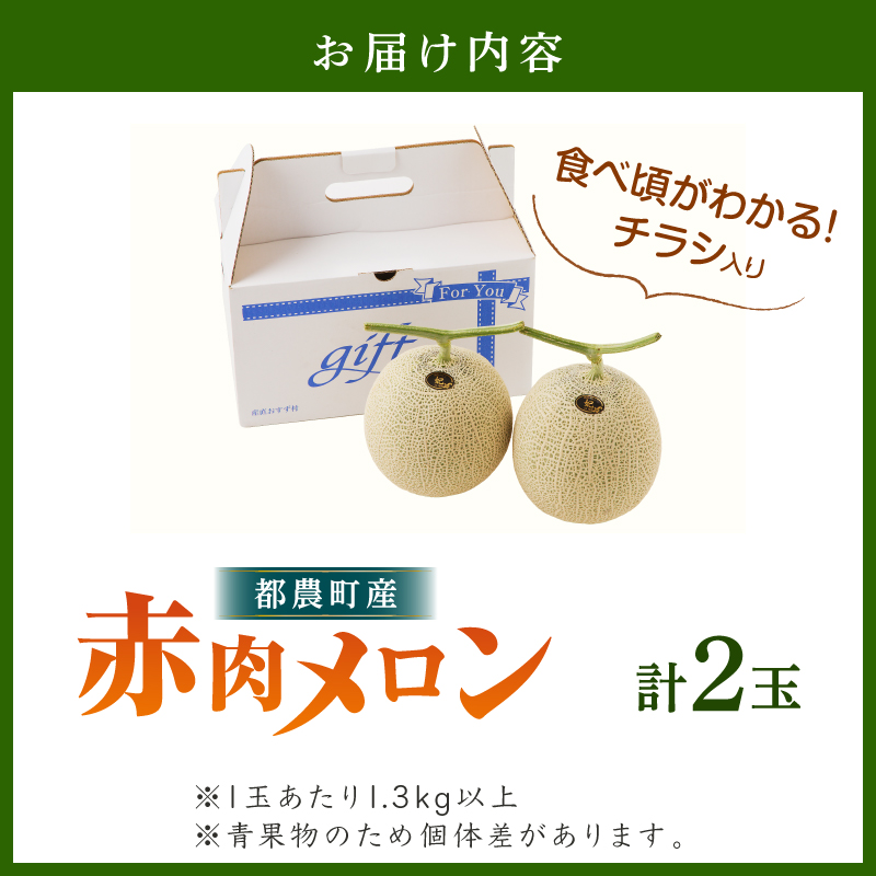 先行予約 冬用 都農町産「赤肉メロン」計2玉 フルーツ 果物 デザート 国産_T015-0067-F