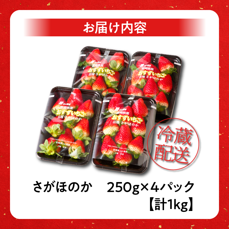 先行予約 都農町産いちご「さがほのか」計1kg フルーツ 果物 デザート イチゴ 国産_T015-0015