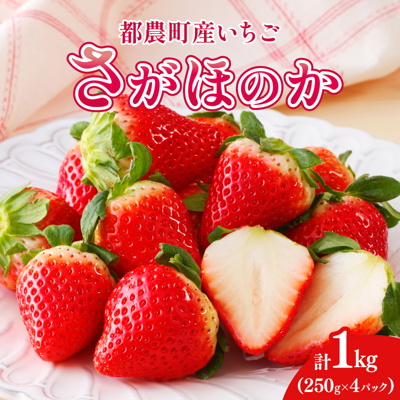 先行予約 都農町産いちご「さがほのか」計1kg フルーツ 果物 デザート イチゴ 国産_T015-0015