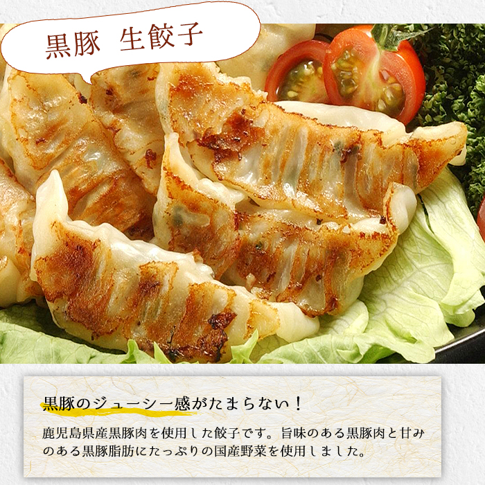 生餃子 鹿児島県産黒豚 使用! 144個(12個×12P) 国産 鹿児島県産 黒豚 餃子 ぎょうざ ギョーザ ギョウザ 冷凍餃子 冷凍 冷凍食品 惣菜 弁当 おかず 小分け 詰め合わせ 大容量