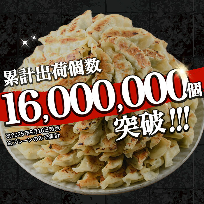 生餃子 鹿児島県産黒豚 使用! 144個(12個×12P) 国産 鹿児島県産 黒豚 餃子 ぎょうざ ギョーザ ギョウザ 冷凍餃子 冷凍 冷凍食品 惣菜 弁当 おかず 小分け 詰め合わせ 大容量