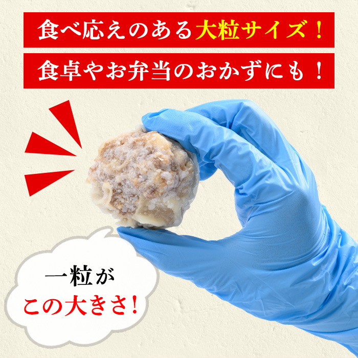 【訳あり】<容量を選べる!>鹿児島県産豚肉使用 焼売 セット(計48個・24個×2P/計96個・24個×4P) シュウマイ しゅうまい シューマイ 業務用 国産 冷凍 冷凍食品 レンジ お弁当 おかず 惣菜 時短