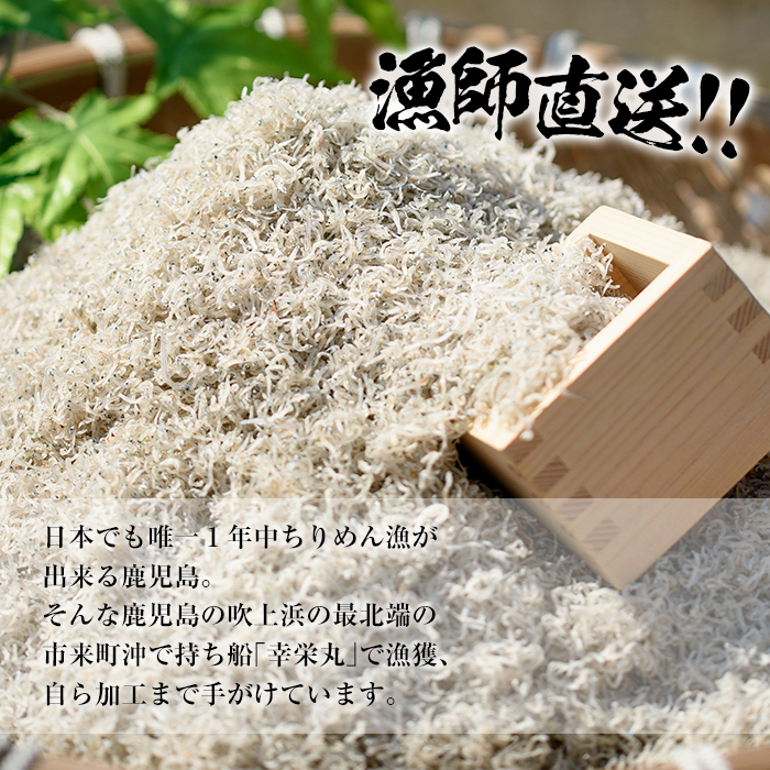 安心・安全!無添加!網元の天日干しちりめん 合計約400g(50g×8P)国産 串木野産 小分け の ちりめんじゃこ しらす おやつ ご飯のお供 ちりめんふりかけ ちりめん冷ややっこ ちりめんサラダ