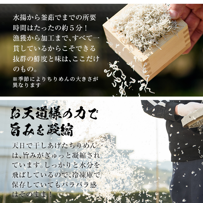 安心・安全!無添加!網元の天日干しちりめん 合計約400g(50g×8P)国産 串木野産 小分け の ちりめんじゃこ しらす おやつ ご飯のお供 ちりめんふりかけ ちりめん冷ややっこ ちりめんサラダ
