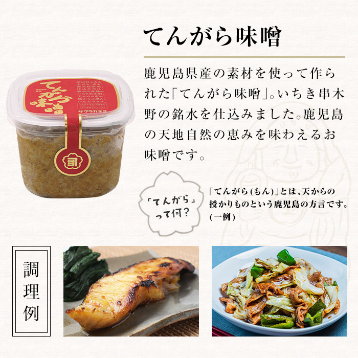 てんがら味噌セット（850g×4個）九州 サクラカネヨ 鹿児島県産 味噌 麦みそ 麦味噌 味噌汁 みそ お味噌