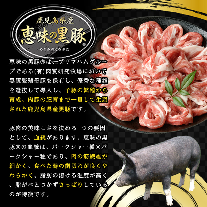 恵味の黒豚 BBQ・キャンプ用セット(7種・合計2.5kg超！)  冷凍 小分け 国産 鹿児島県産 黒豚 BBQ や キャンプ に ピッタリな7種セット！大容量！