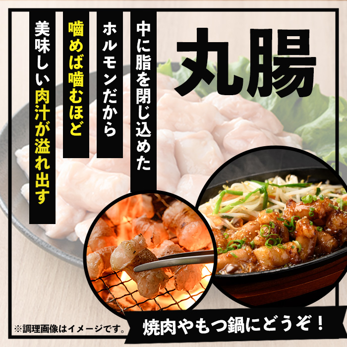鹿児島県産 黒毛和牛 ホルモン 丸腸 700g 冷凍 国産 鹿児島県産 黒毛和牛 もつ鍋 焼肉 にも オススメ!
