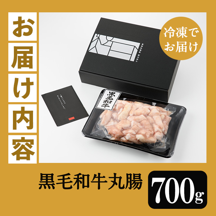 鹿児島県産 黒毛和牛 ホルモン 丸腸 700g 冷凍 国産 鹿児島県産 黒毛和牛 もつ鍋 焼肉 にも オススメ!