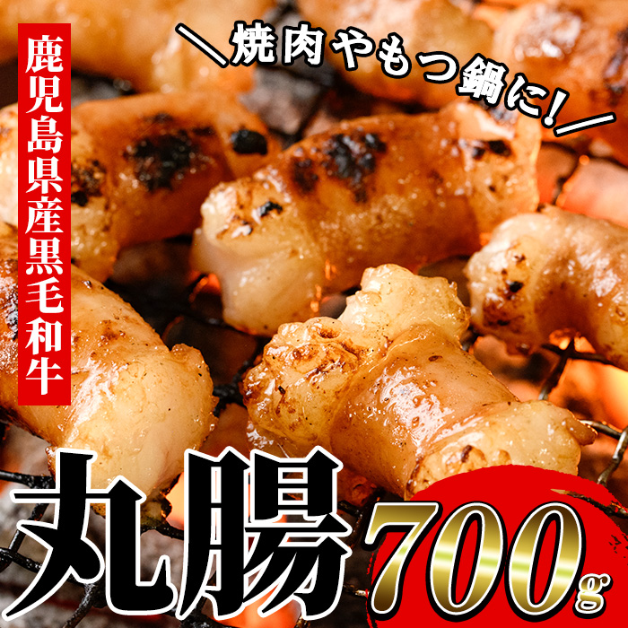 鹿児島県産 黒毛和牛 ホルモン 丸腸 700g 冷凍 国産 鹿児島県産 黒毛和牛 もつ鍋 焼肉 にも オススメ！
