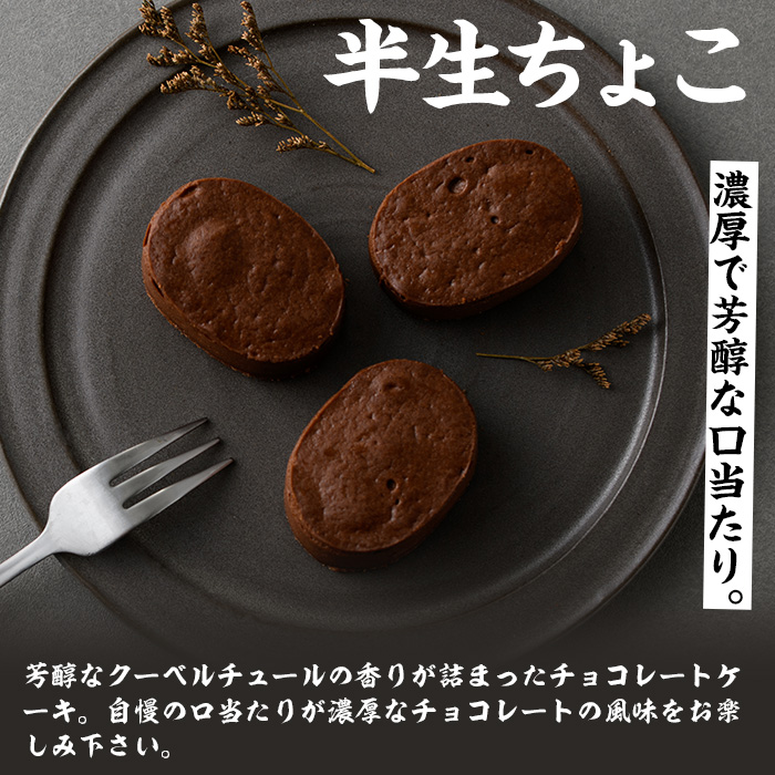《訳あり・セット選べる》半生ちーず・半生ちょこ(計17個) スイーツ バレンタイン ホワイトデー チーズ ケーキ チーズケーキ チョコ スフレ お菓子 銘菓 冷凍 詰め合わせ 個包装 簡易包装 家庭用 自宅用 洋菓子