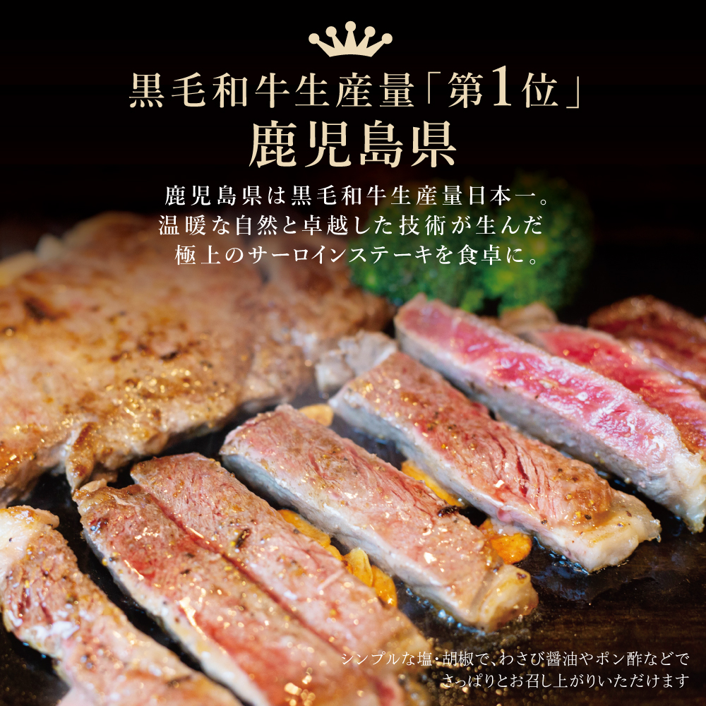 【鹿児島県産】黒毛和牛 サーロインステーキ 約500g （約170g×3枚） 牛肉 A4等級 ステーキ BBQ ギフト 贈答 冷凍 スターゼン