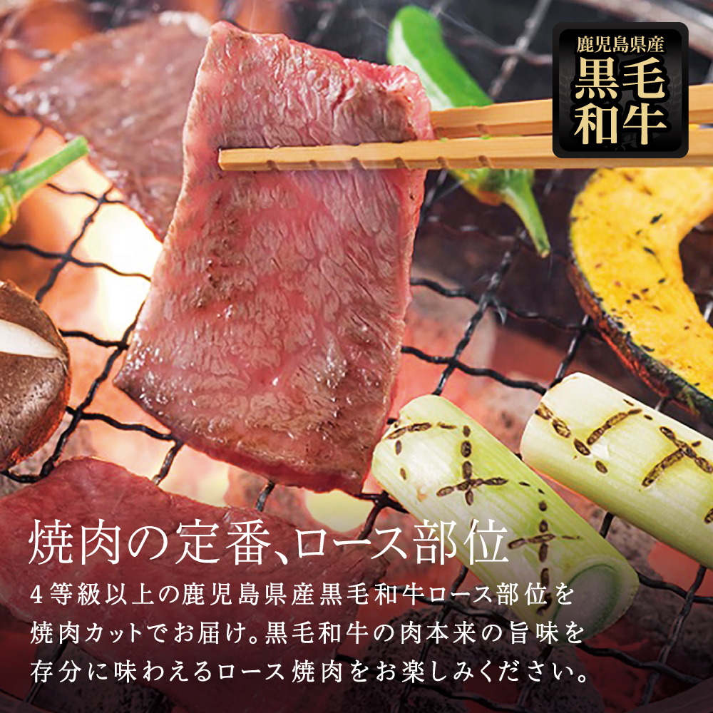 【鹿児島県産】黒毛和牛 焼肉用ロース 400g 4等級以上 牛肉 焼肉 バーベキュー BBQ 冷凍 スターゼン