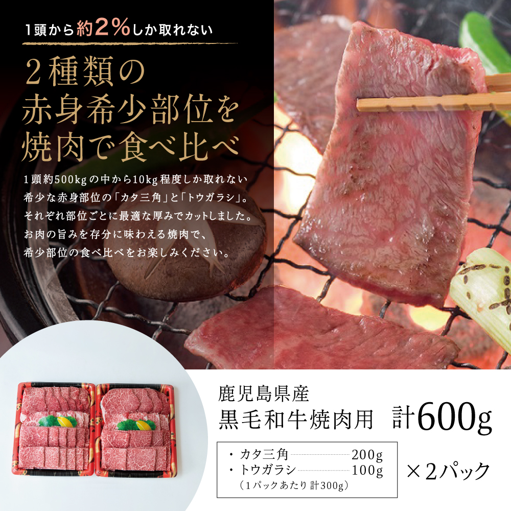 【鹿児島県産】黒毛和牛 焼肉用 計600g 赤身希少部位2種セット 数量限定 国産 肉 牛肉 希少部位 焼肉 BBQ 小分け セット 食べ比べ 訳あり 冷凍 スターゼン 南さつま市