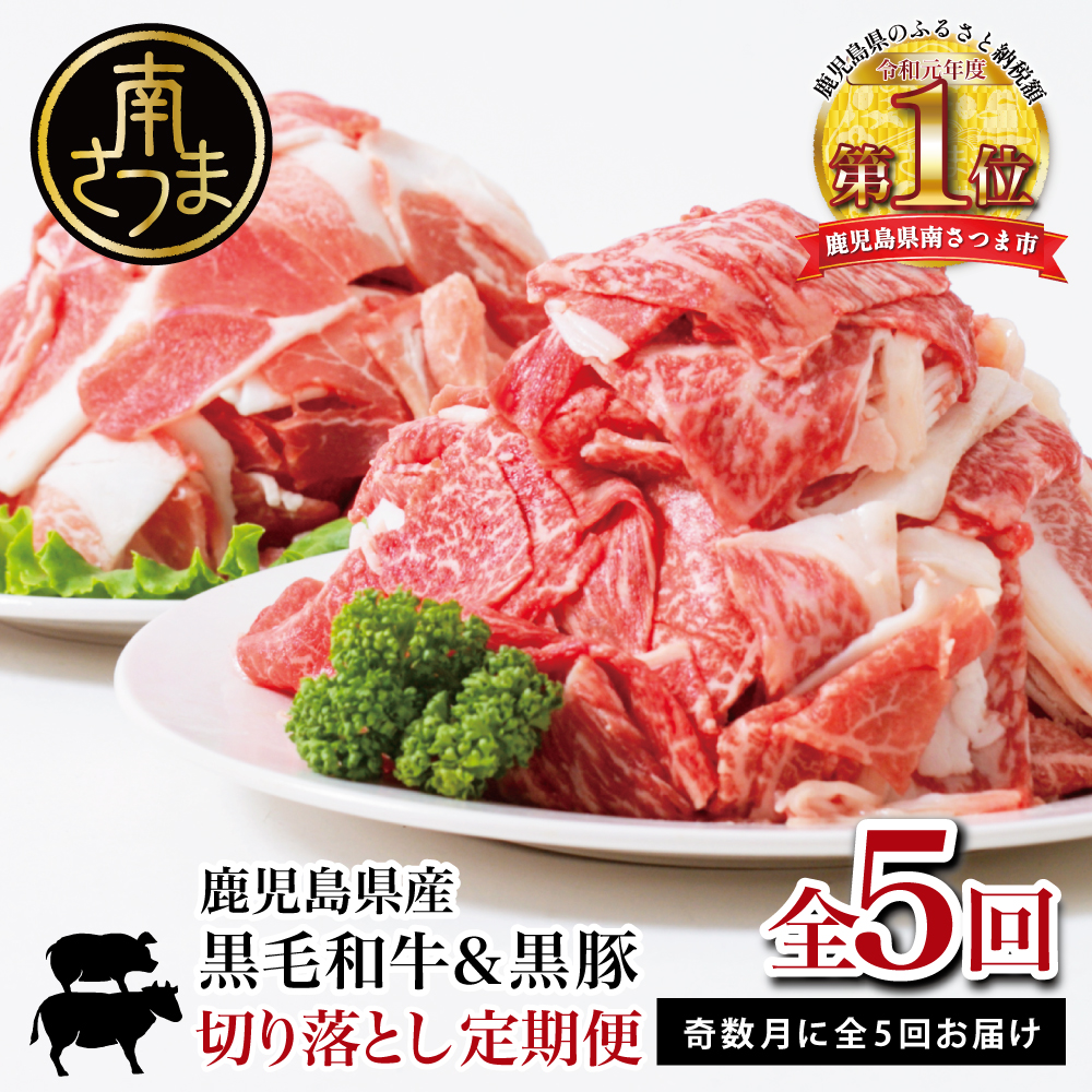 【鹿児島県産】黒毛和牛＆黒豚 切落し 定期便（全5回）牛丼 肉じゃが カレー 炒め物 国産 お肉 定期便 冷凍 小分け 和牛もも肉 スターゼン