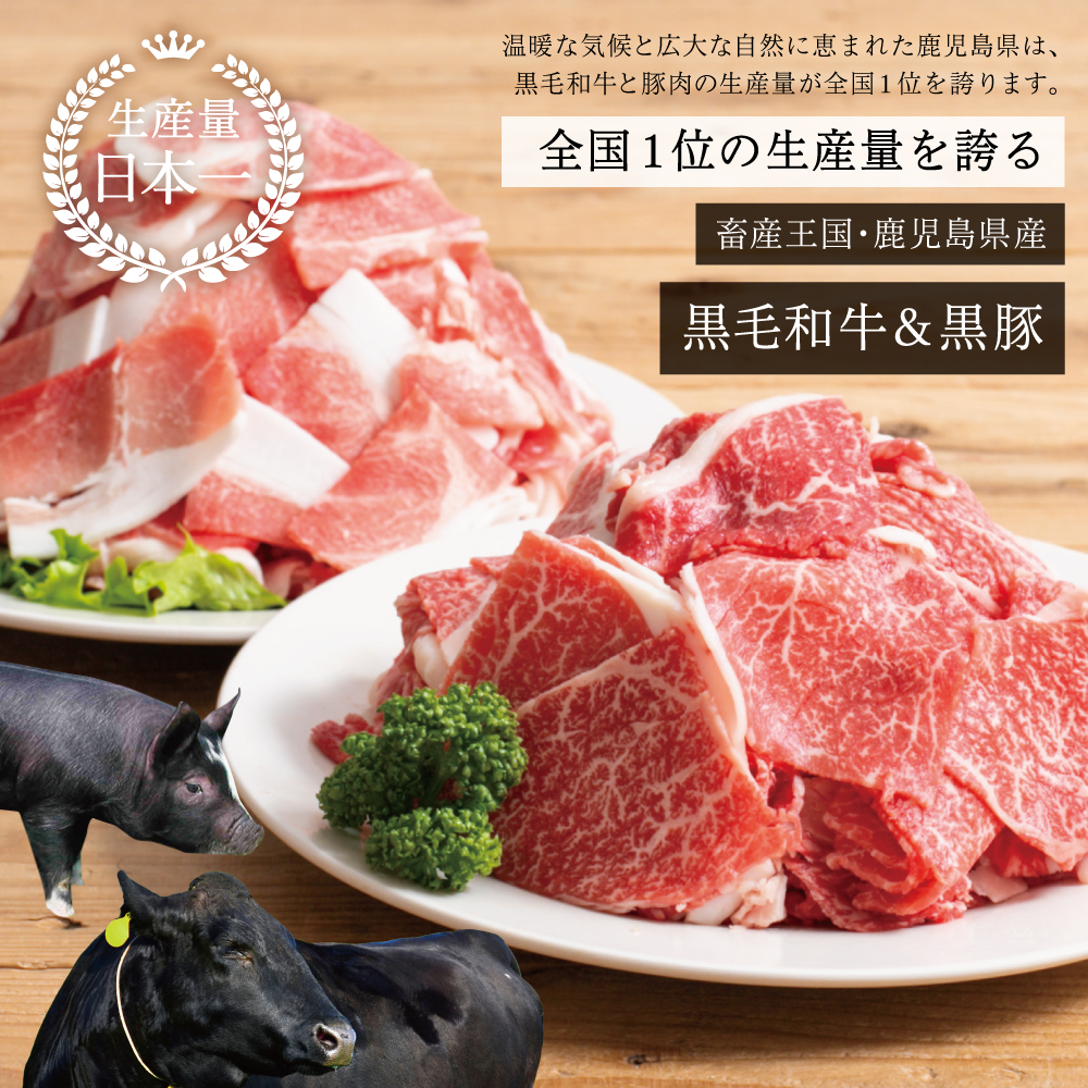 【鹿児島県産】黒毛和牛＆黒豚 切落し 定期便（全5回）牛丼 肉じゃが カレー 炒め物 国産 お肉 定期便 冷凍 小分け 和牛もも肉 スターゼン