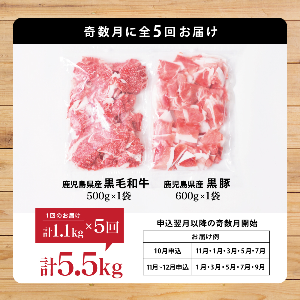 【鹿児島県産】黒毛和牛＆黒豚 切落し 定期便（全5回）牛丼 肉じゃが カレー 炒め物 国産 お肉 定期便 冷凍 小分け 和牛もも肉 スターゼン