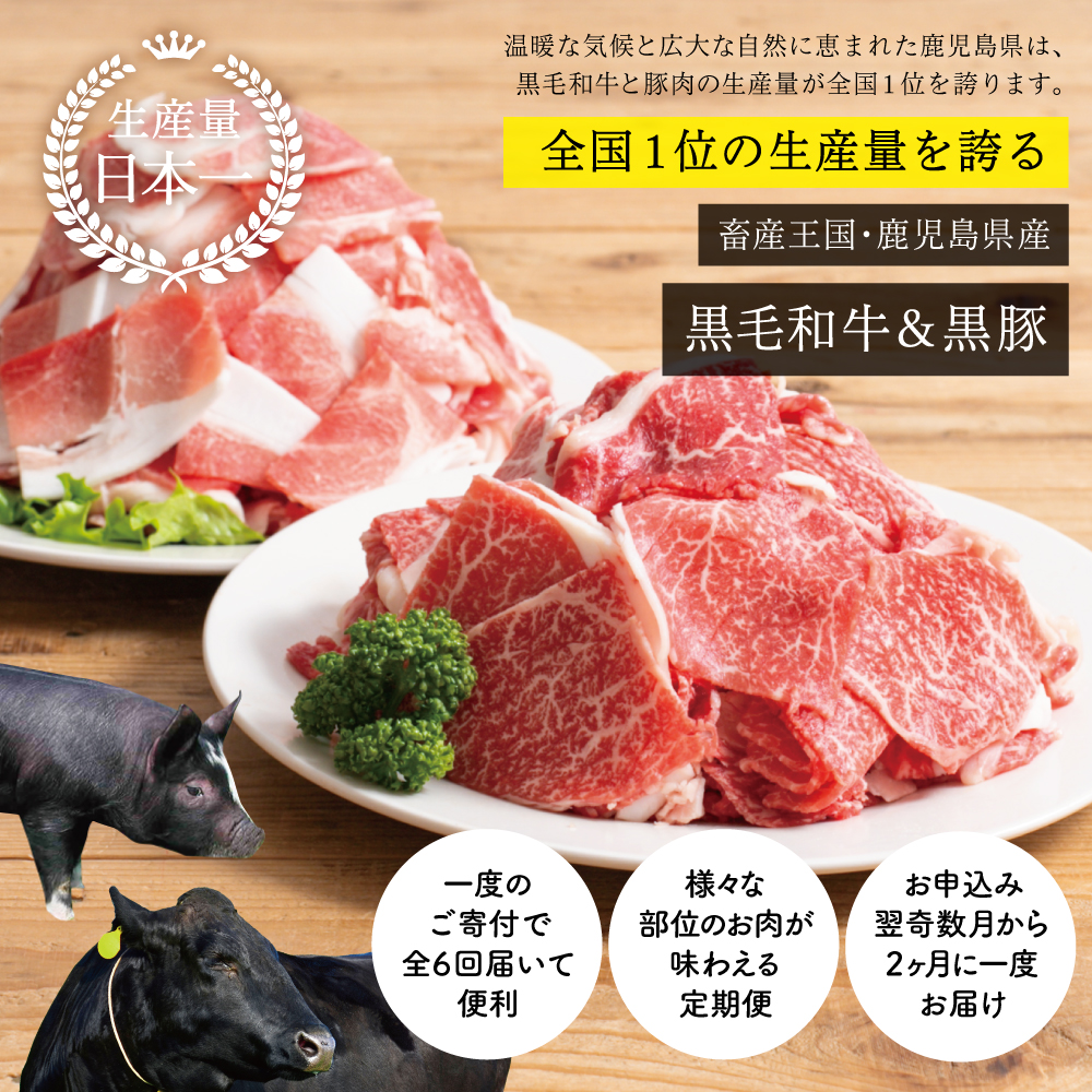 【スターゼン厳選定期便】鹿児島県産黒毛和牛・黒豚定期便（全6回） サーロイン ステーキ 切り落とし しゃぶしゃぶ 焼肉 すき焼き ローススライス 定期便 冷凍 スターゼン